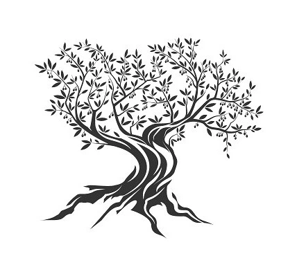 La Casa degli Ulivi logo with Lake Como panoramic background